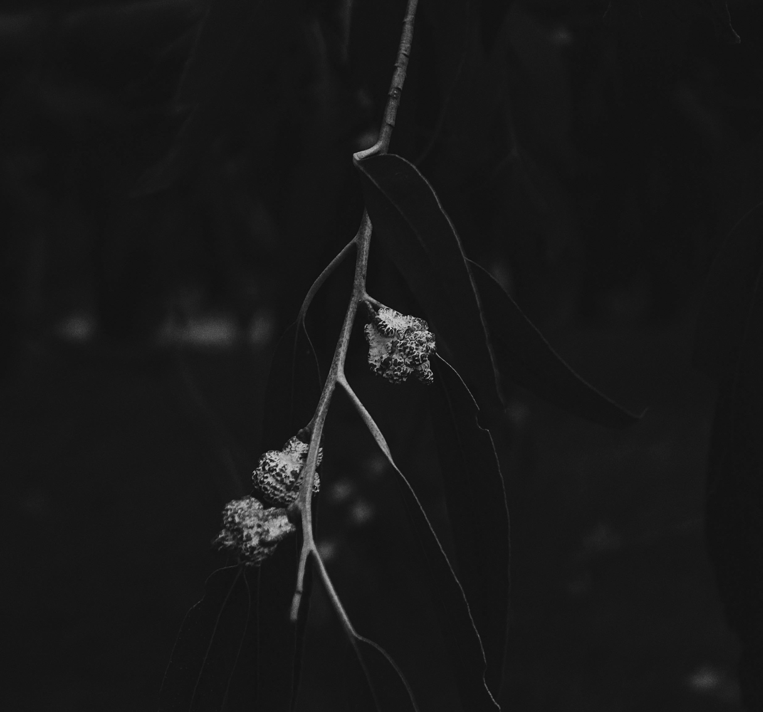 death.