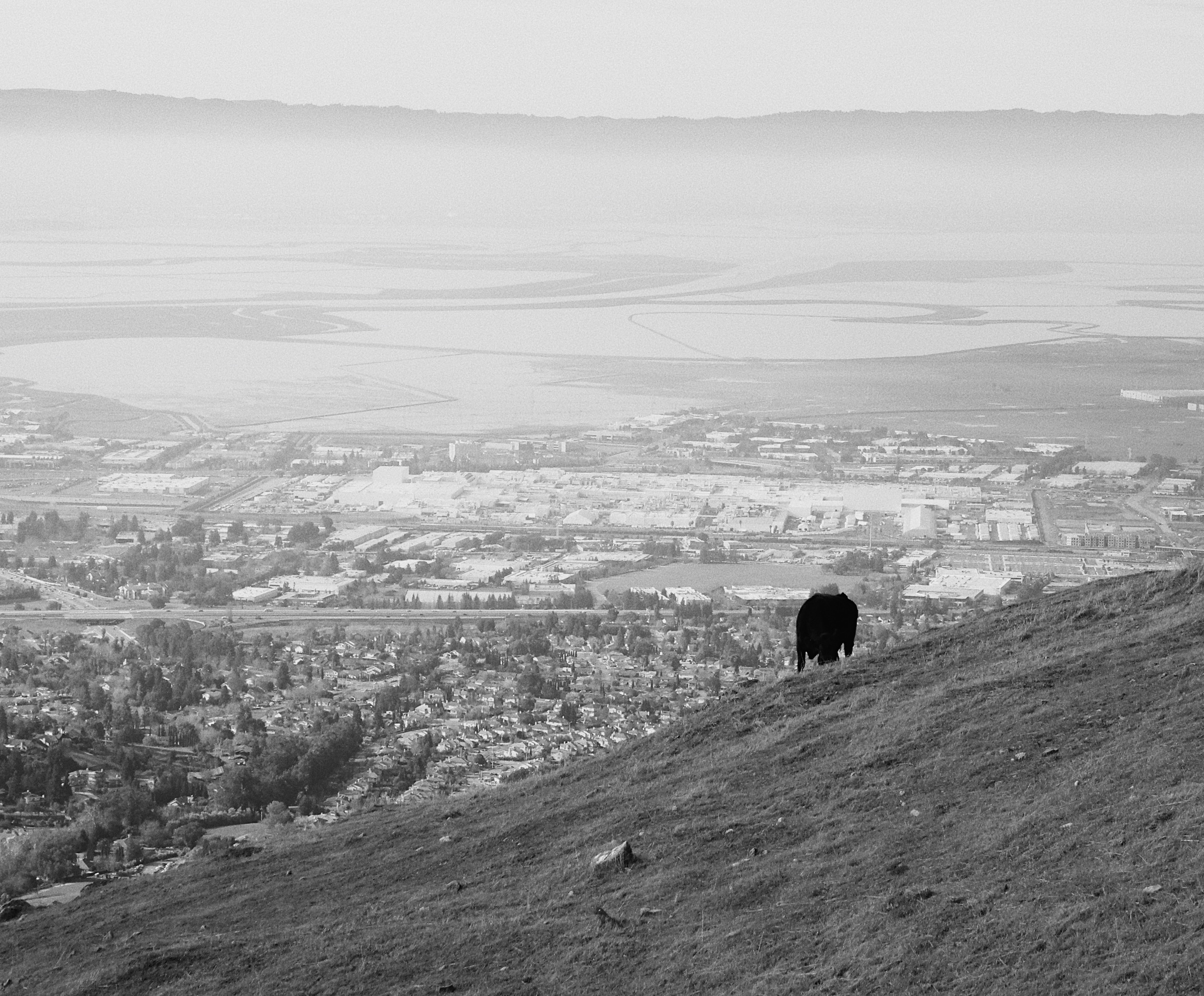 onward.